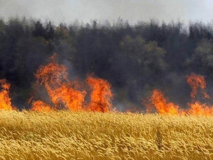 Спасатели рассказали, сколько полей в Мелитопольском районе тушить пришлось