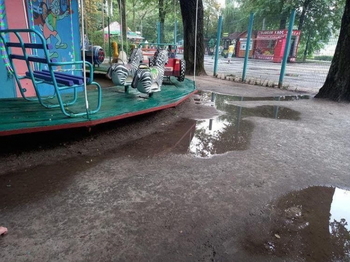 Жительница Мелитополя в парке попала с ребенком в 
