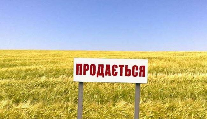 Стало известно, сколько земли в Запорожской области уже продали