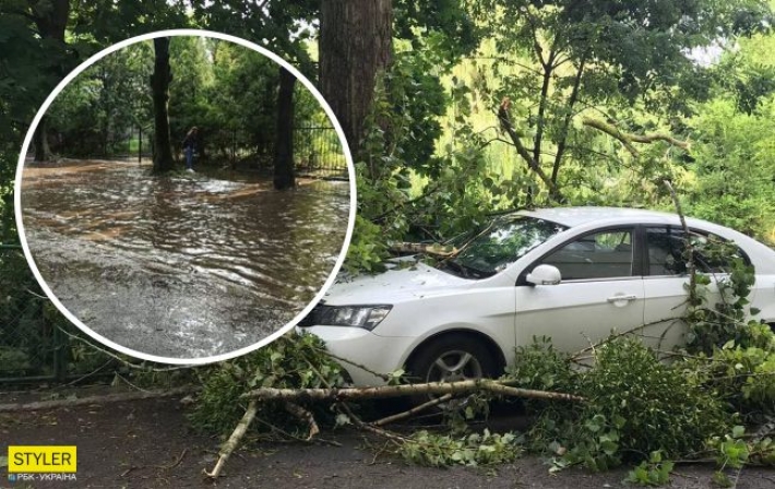 Львов снова накрыло ураганом: поваленные деревья и отключена электрика