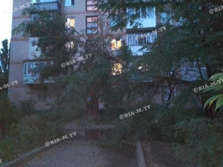 Деревопад в Мелитополе продолжается (фото)