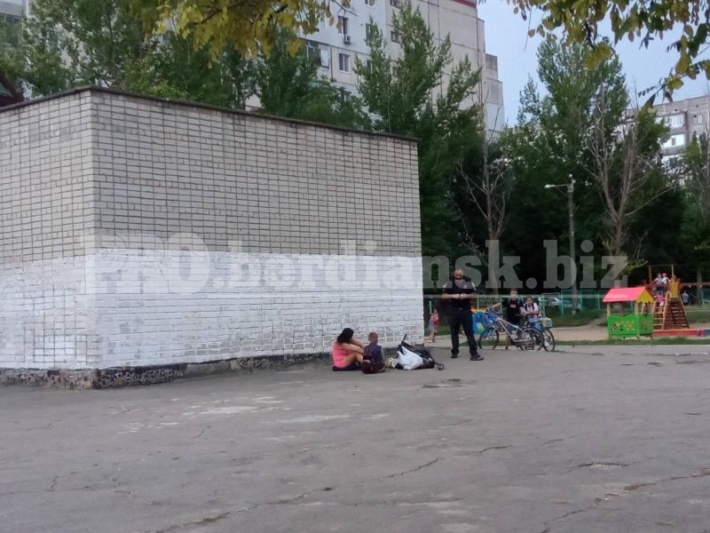 Происшествие на детской площадке в Бердянске: пьяная женщина избила бутылкой пенсионерку