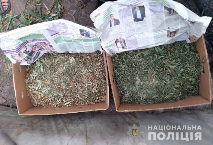 В Запорожской области в доме обнаружили 7 кг конопли и наркоплантацию