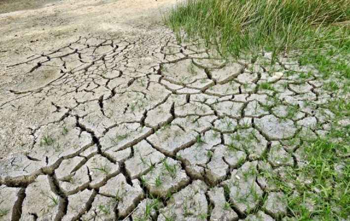 Летом в Украине будет еще жарче: климатолог ошарашила последствиями