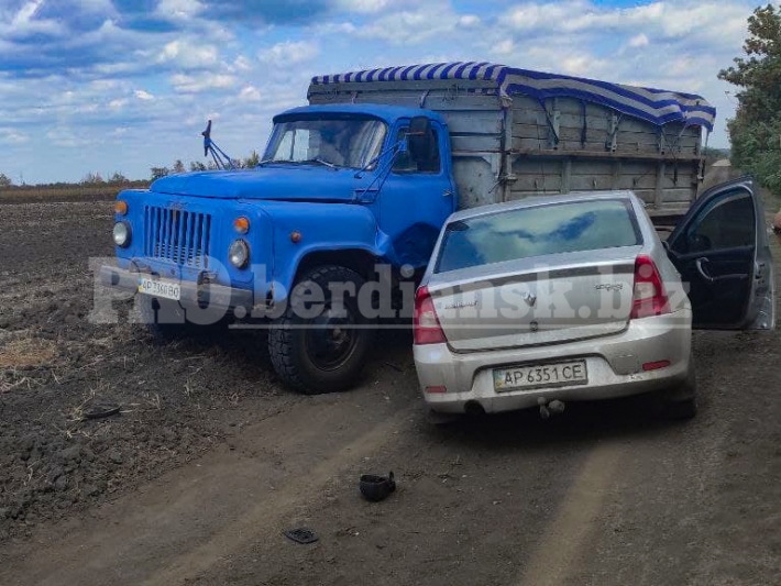 Смертельное ДТП в Бердянском районе: лоб в лоб столкнулись грузовик и легковушка