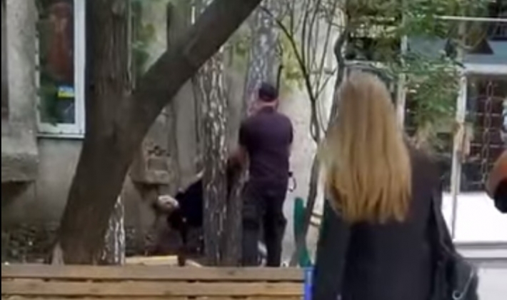 В Бердянске наркоман застрял в дереве (видео 18+)