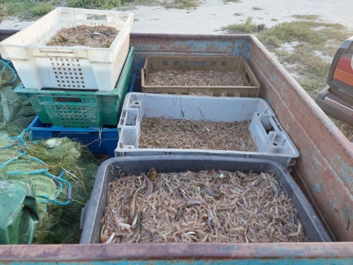 В Бердянске поймали браконьеров с уловом креветки (фото)
