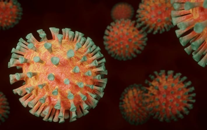 Ученые выяснили, когда появился первый коронавирус