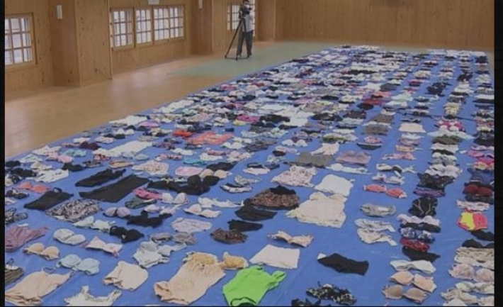 В Японии мужчина годами воровал женское белье из прачечных