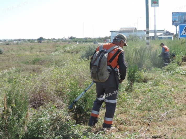 Константиновку начали очищать от сорняков и мусора (фото)