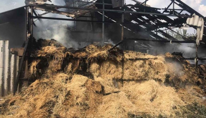 В селе Запорожской области тушили пожар на сеновале