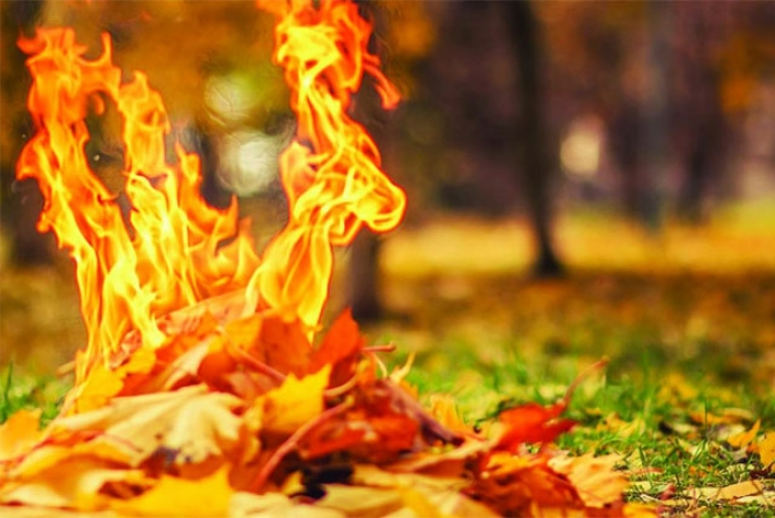 В Мелитополе люди пожаловались на соседей, сжигающих листву (видео)