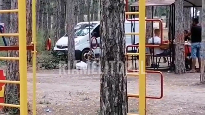 В Мелитополе в лесопарке пьют и курят прямо на детской площадке (видео)