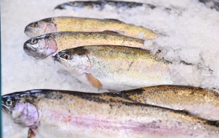 Как продавцы рыбы обманывают покупателей: накачка фосфатами и обилие льда