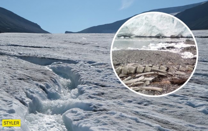 Украинцы нашли в Антарктиде останки гигантского животного тысячелетней давности
