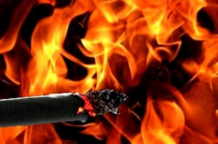 В Запорожской области из-за курения сгорел частный дом