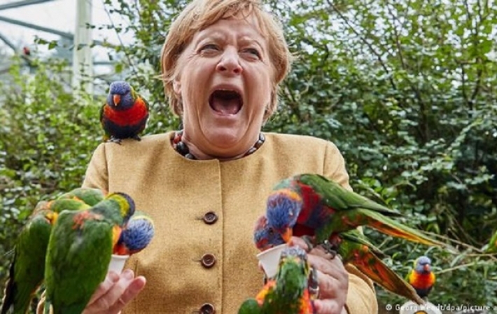 Фото Меркель с попугаями позабавили соцсети