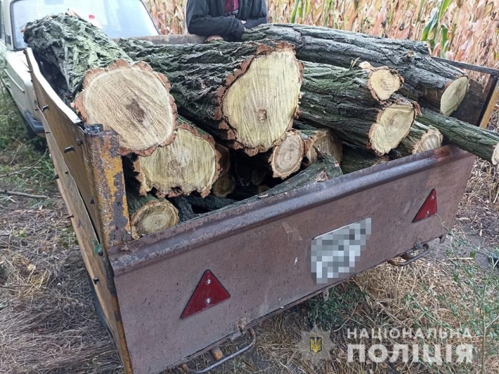 В Запорожской области на горячем задержали двух "черных лесорубов"