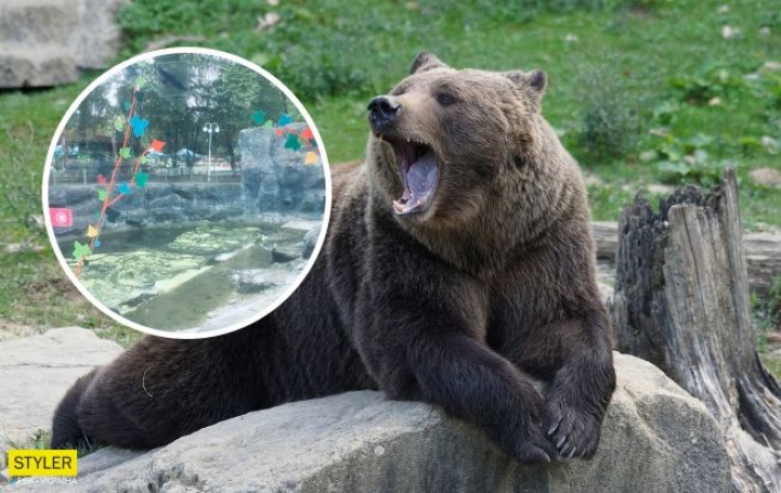 В киевском зоопарке треснувшее стекло в вольере с медведями заклеили аппликацией (фото)