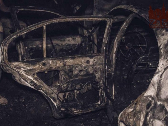 Видели последний раз в Мелитополе - в посадке нашли сгоревший автомобиль пропавшего мужчины