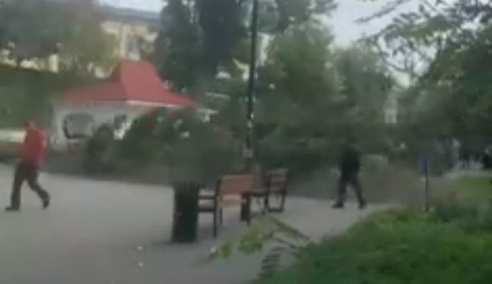 В Киеве мужчина отличился железной выдержкой при падении огромного дерева: видео