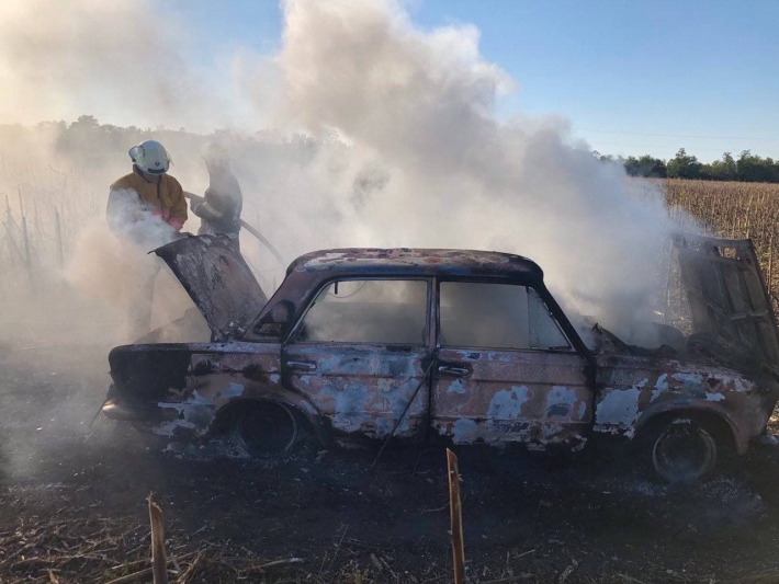 Под Мелитополем в поле полностью сгорел автомобиль (фото)