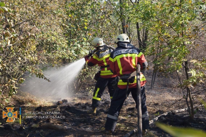 В Запорожье тушили масштабный пожар на Хортице (фото)