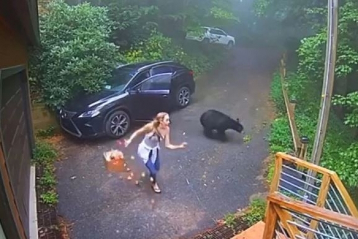 Молода американка з самого ранку зустріла у своїй машині ведмедя
