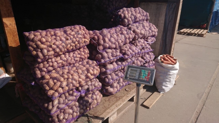 Сколько лук и картофель на оптовом рынке в Мелитополе стоят  - что подорожало (фото)