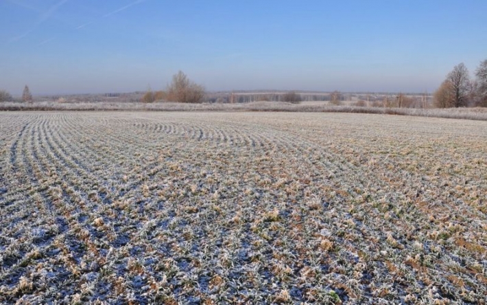 Ученый рассказал о последствиях бесснежной зимы в Мелитопольском районе