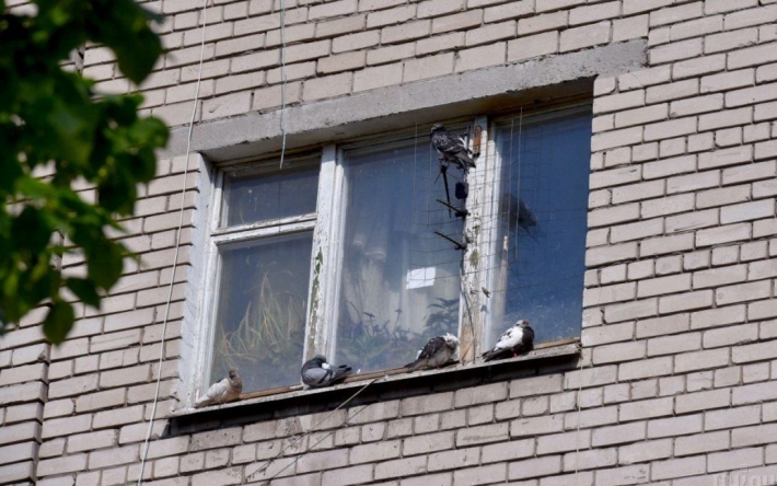 Когда проснулся, жена была мертвой: в Днепре из окна многоэтажки выпала женщина