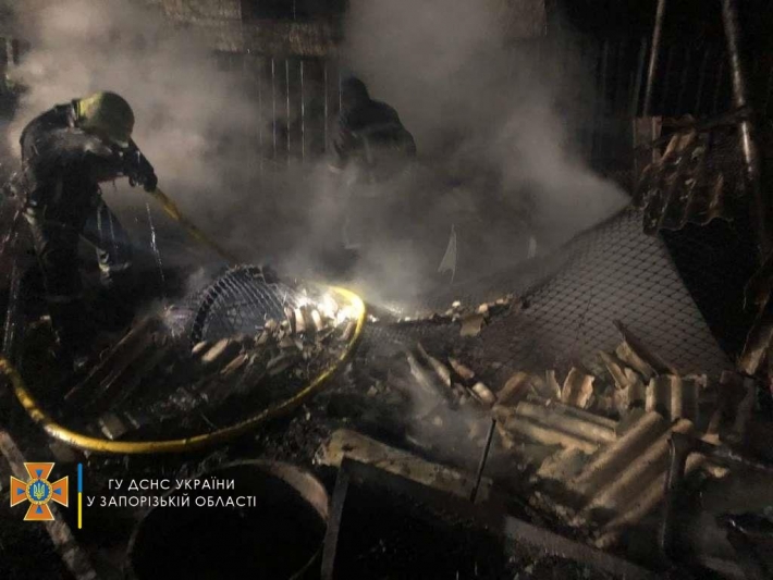 В Запорожье тушили масштабный пожар на территории частного дома (фото)