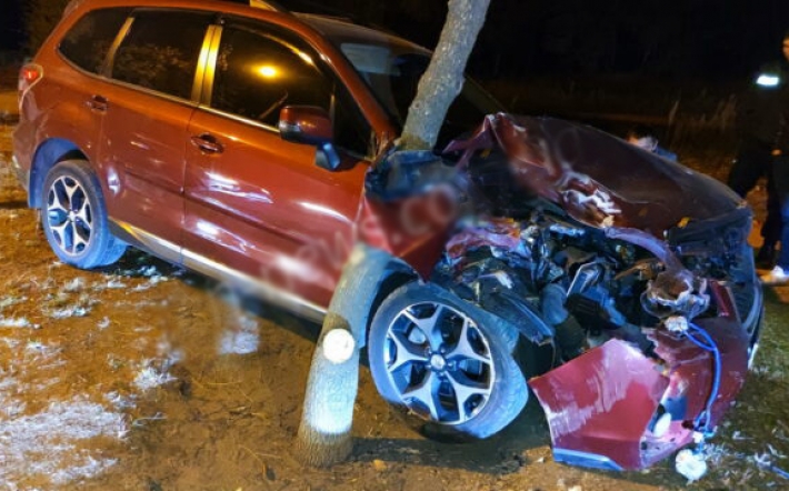 В Запорожской области автомобиль влетел в дерево (фото)
