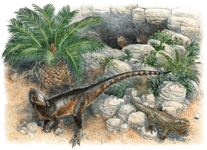 Ученые открыли новый вид динозавра-карлика и дали интересное название: фото
