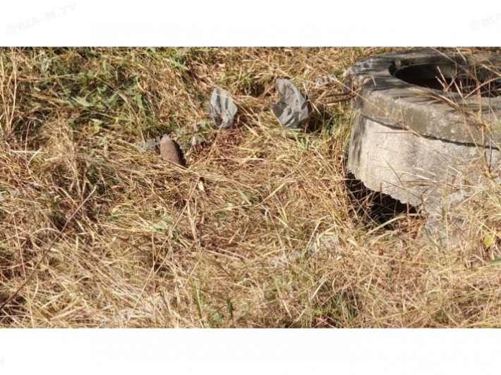 В Мелитополе коммунальщики в траве нашли припрятанный снаряд (фото, видео)