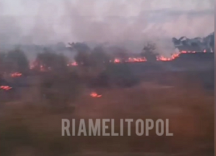 Под Мелитополем горит пастбище (видео)