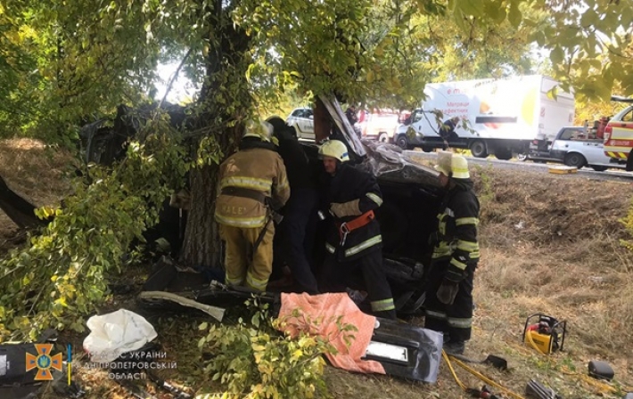 Под Никополем легковушка влетела в дерево, водитель погиб (видео)