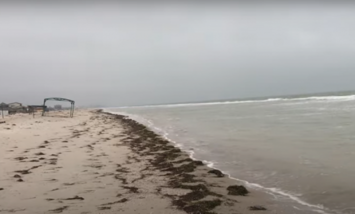 В Кирилловке после шторма на берег выбросило медуз (видео)