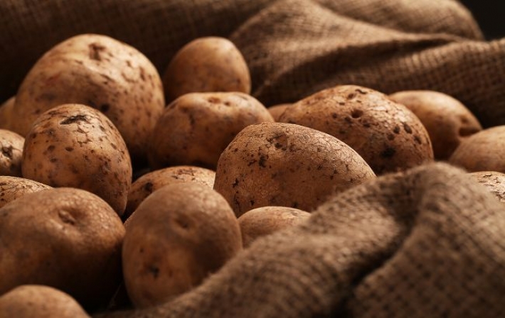 В украинской картошке обнаружили рак: опасен ли такой овощ?