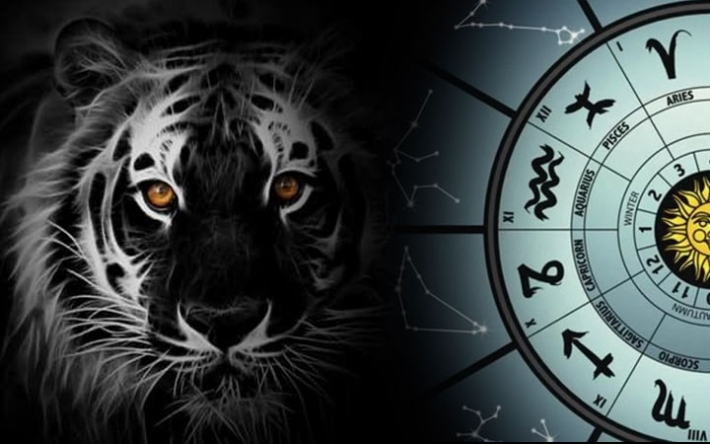 Черный Тигр несет достаток: пяти знакам Зодиака фантастически повезет в 2022 году