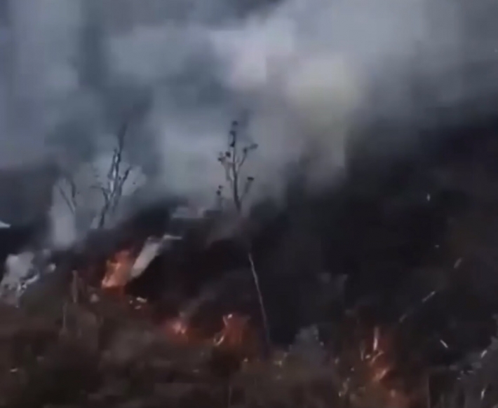 В Мелитополе горит трава - огонь подбирается к домам (видео)