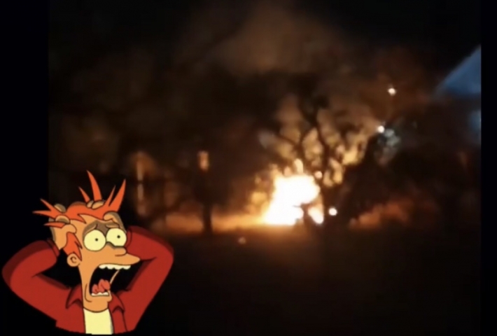 В Мелитополе под покровом ночи распалили в саду огромный костер