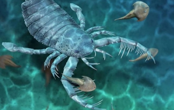 Найдены окаменелости древнейшего ракоскорпиона