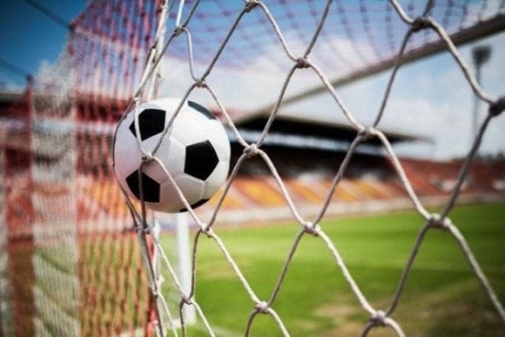 В Мелитопольском районе два брата украли футбольные ворота