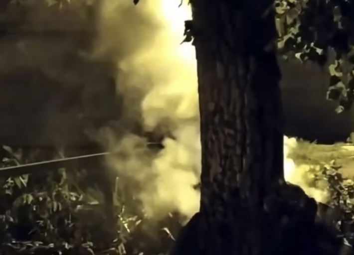 В Мелитополе подожгли дерево во дворе многоэтажки (видео)
