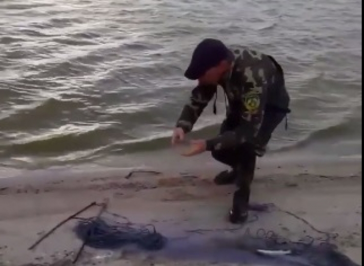 Днем и ночью - как в Мелитопольском районе рыбу из браконьерских сетей спасают (видео)