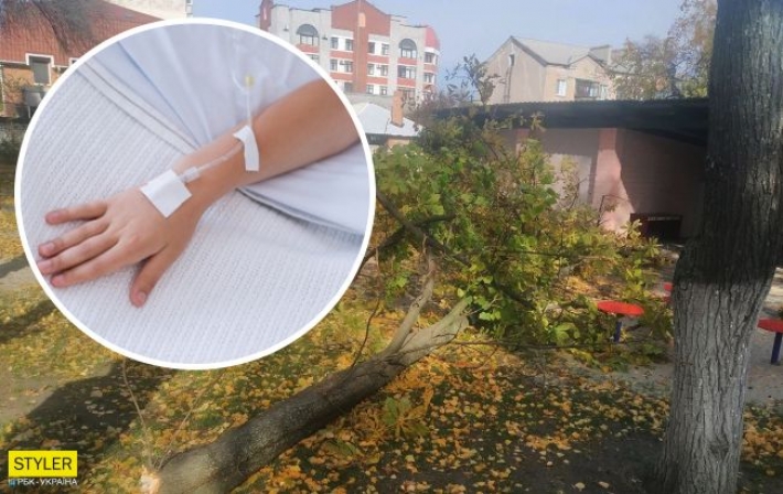 В Кременчуге умерла 4-летняя девочка, на которую упало дерево в детсаду