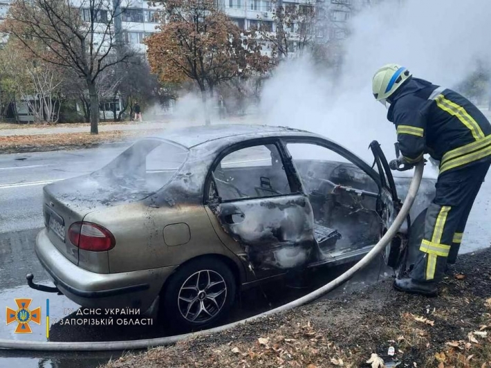 В Запорожье на Хортице горел автомобиль (фото)
