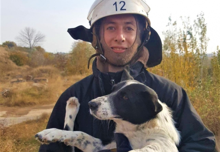 Как в Запорожской области упавшую в яму собаку спасали (фото)