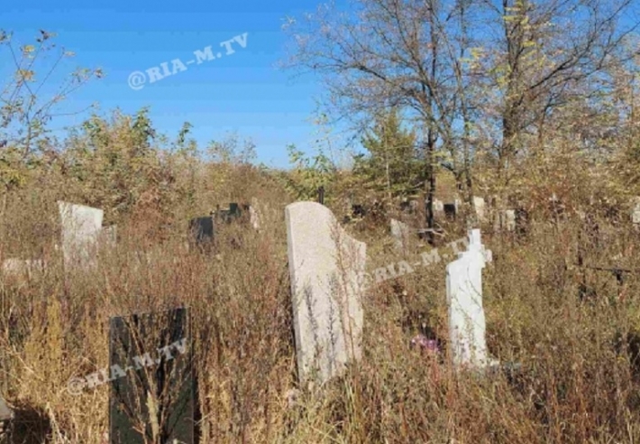 В Мелитополе на кладбище нужно заходить с топором (фото)